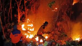 Karhutla di Perbatasan Situbondo–Bondowoso Hanguskan Empat Hektare Lahan